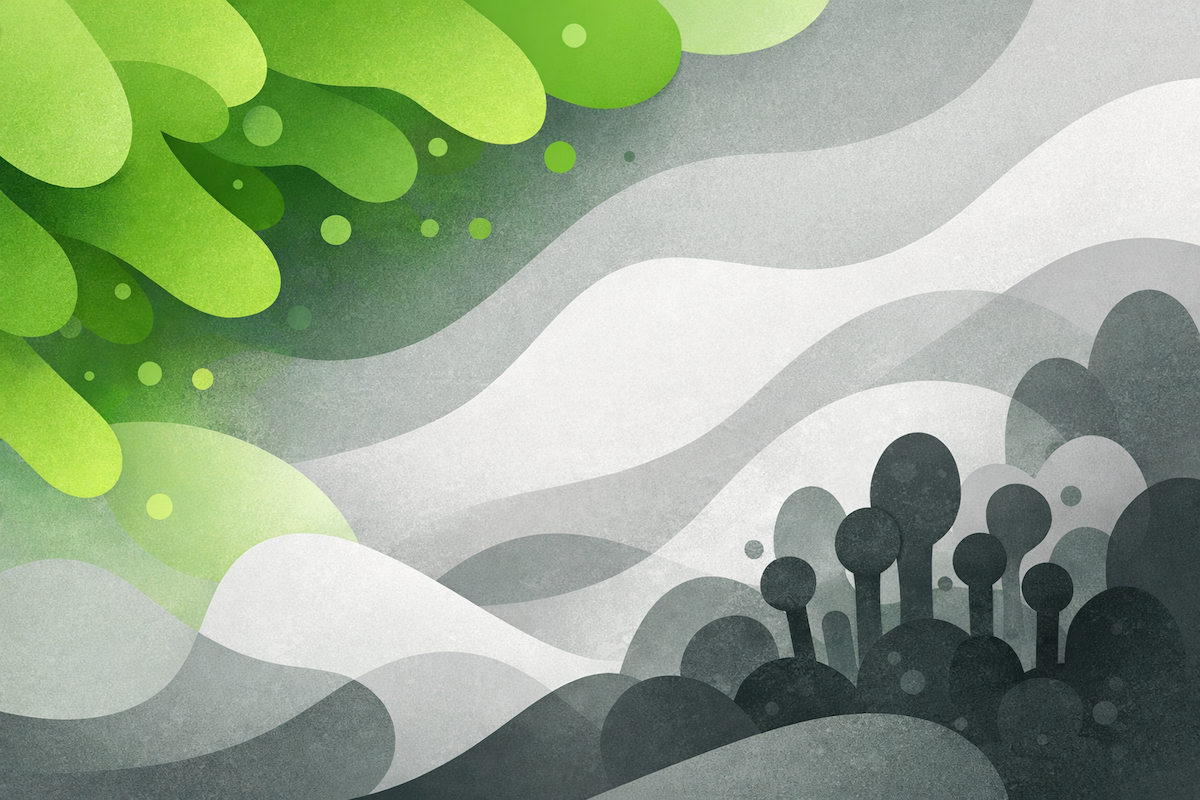 Удаление плесени в подвале